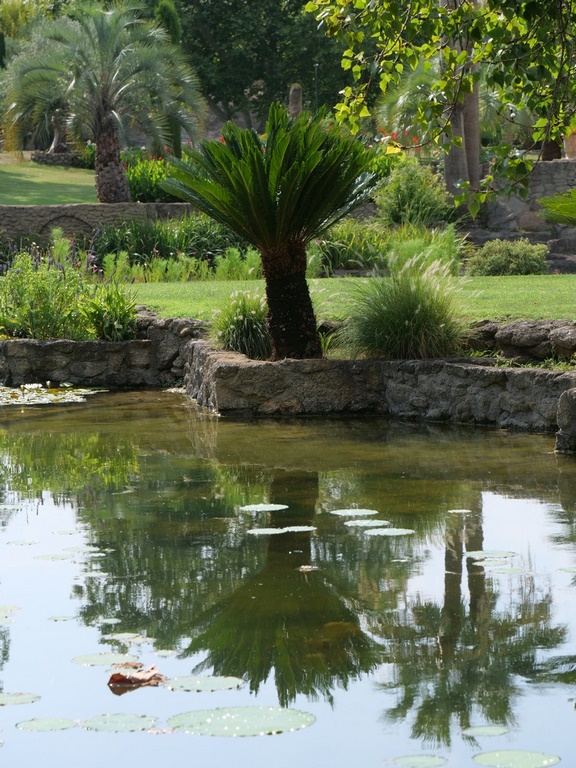 Le Jardin de Saint-Adrien : une oasis de verdure 